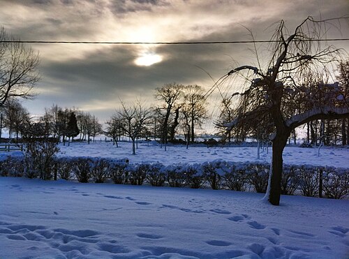 Anglesqueville-la-Bras-Long (Seine-Maritime)