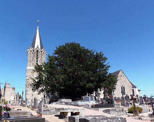 Nécy (Orne)