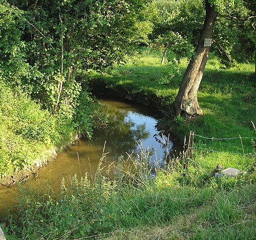 Condé-sur-Ifs (Calvados)